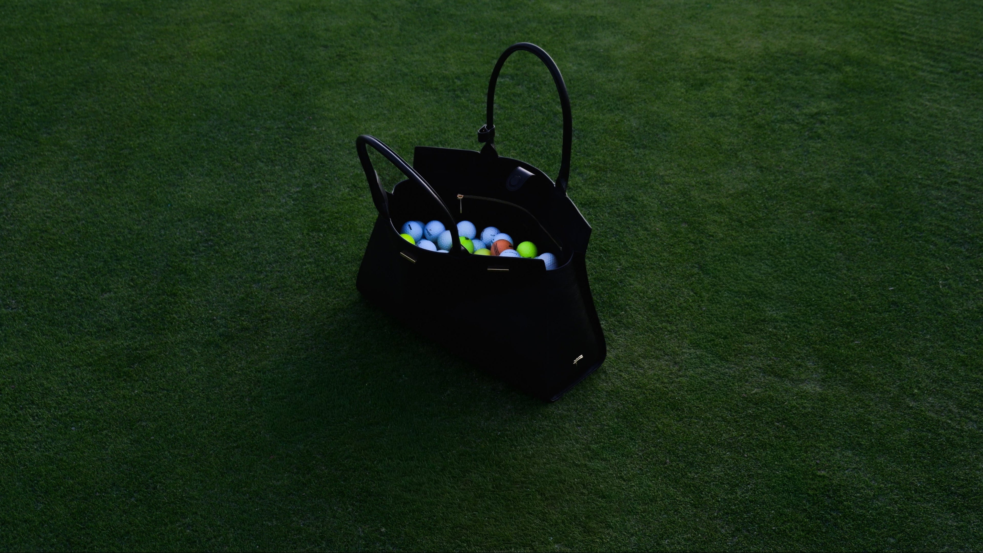 Black Leather Tote Bag Carry All Felimon